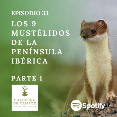 Notas de Naturaleza