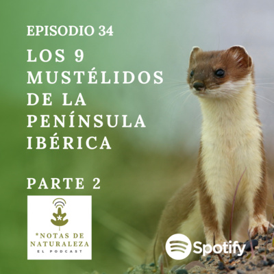Notas de Naturaleza
