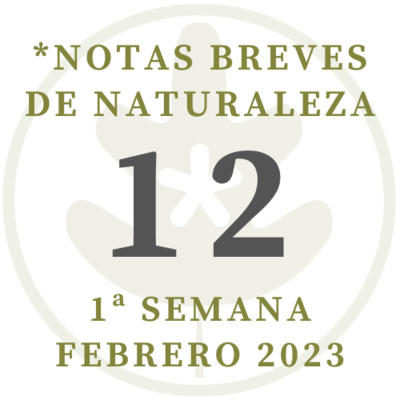 Notas breves de Naturaleza #12 episode artwork