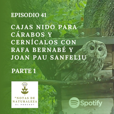 Cajas Nido para Cárabos y Cernícalos con Rafa Bernabé y Joan Pau Sanfeliu #41 episode artwork
