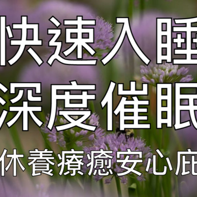睡眠冥想 | 一小時優質中文快速入睡深度催眠禪意冥想放鬆助眠