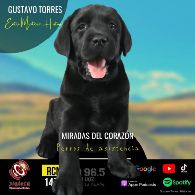 GUSTAVO TORRES Podcast