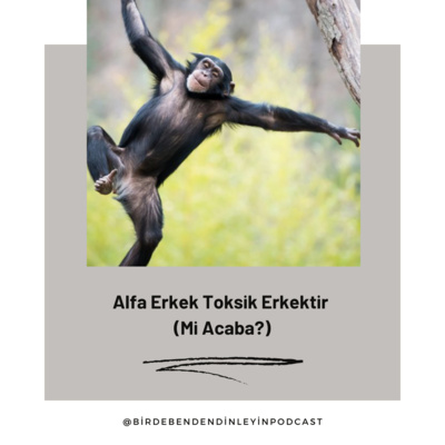 037 | Alfa Erkek Toksik Erkektir (Mi Acaba?)