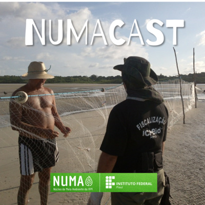 NUMAcast