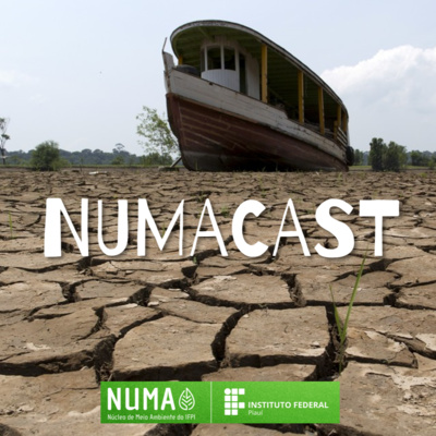 NUMAcast