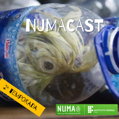 NUMAcast