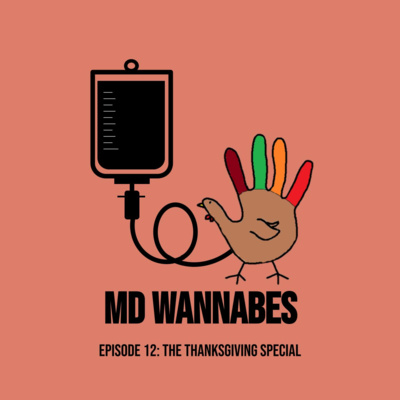 The Thanksgiving Special episode artwork
