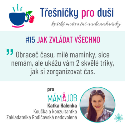 #15 JAK ZVLÁDAT VŠECHNO. TIME MANAGEMENT PRO PRACUJÍCÍ MÁMY episode artwork