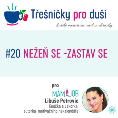#20 NEŽEŇ SE - ZASTAV SE episode artwork