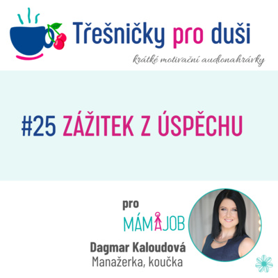 #25 ZÁŽITEK Z ÚSPĚCHU episode artwork