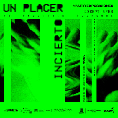 'An Uncertain Pleasure: Time-Based Works from the Pierre Huber Collection'