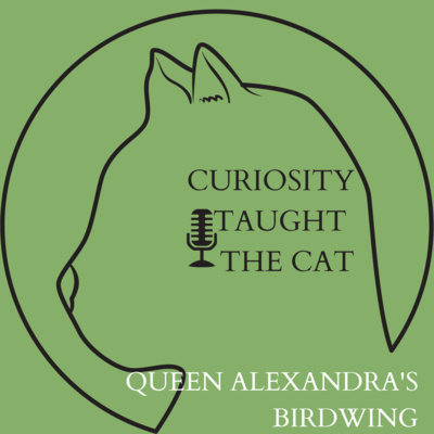 Episode 48 - Queen Alexandra's Birdwing