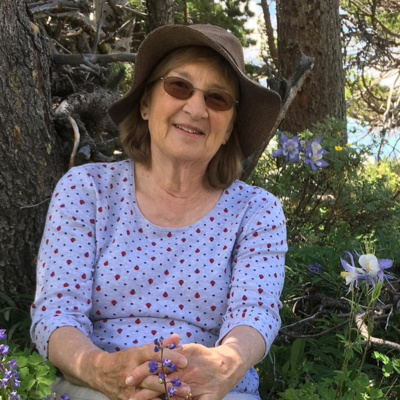 Booktalk with Diana Korte