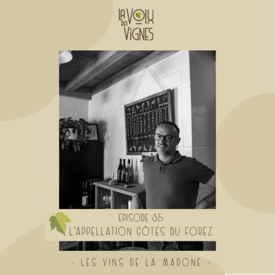 Les Vins de la Madone - L'appellation Côtes du Forez / Basalte vs Granite