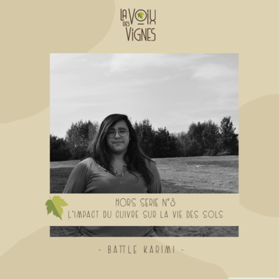 Battle Karimi - L'impact du cuivre sur la vie des sols