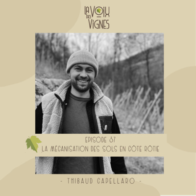 Thibaud Capellaro - La mécanisation des sols en Côte-Rôtie
