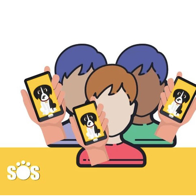 SOS Encontrando Mascotas