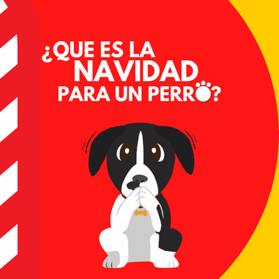 SOS Encontrando Mascotas