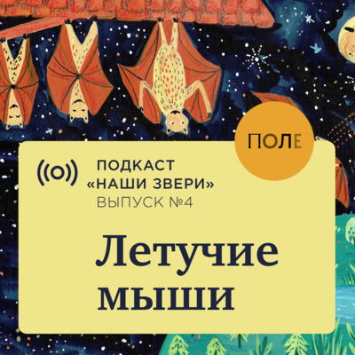 Летучие мыши