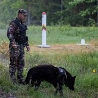 Подробности схемы переброски нелегалов из Ирака в Литву через Беларусь