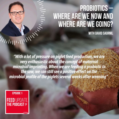 Ep. #1 | Probiotics – Where are we now and where are we going? with David Saornil, DVM
