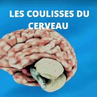 Les Coulisses du Cerveau #5 : " Mouvement cerveau et bugs"