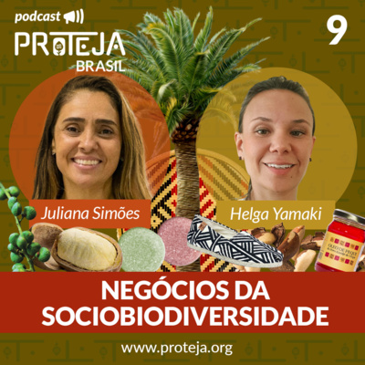 Negócios da sociobiodiversidade 