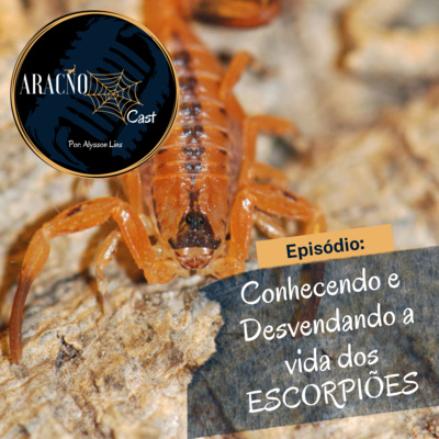 Conhecendo e Desvendando a vida dos ESCORPIÕES