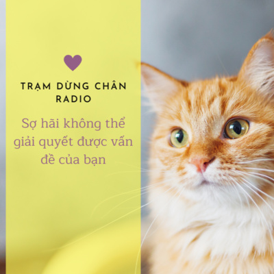 Trạm dừng chân RADIO