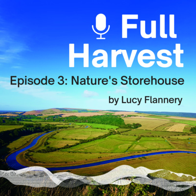 Episode 3: Nature’s Storehouse by Lucy Flannery