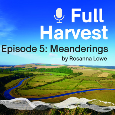 Episode 5: Meanderings by Rosanna Lowe