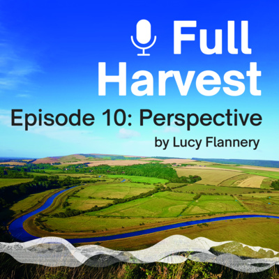 Episode 10: Perspective by Lucy Flannery