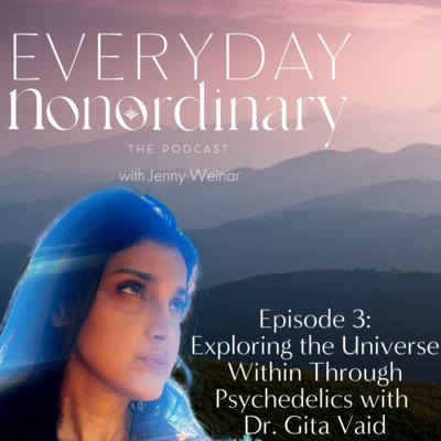 Everyday Nonordinary The Podcast