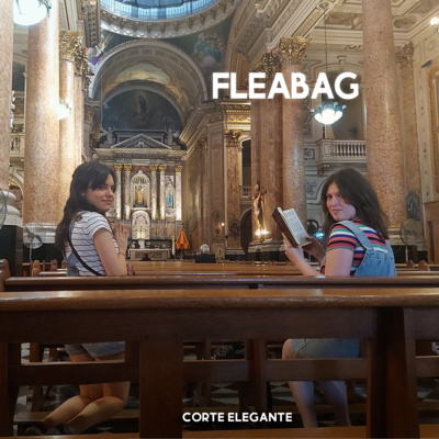 Episodio 10: FLEABAG
