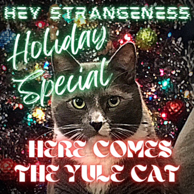 Holiday Special: Here Comes The Yule Cat episode artwork