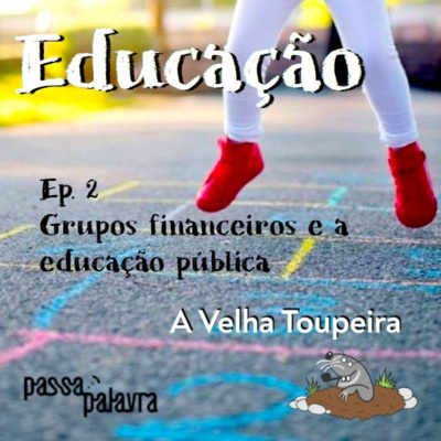 Grupos financeiros e a educação pública