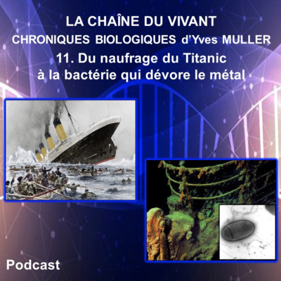 11. Du naufrage du Titanic à la bactérie qui dévore le métal