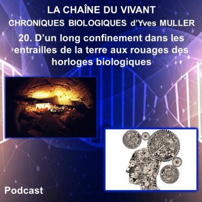 20. D’un long confinement dans les entrailles de la terre aux rouages des horloges biologiques