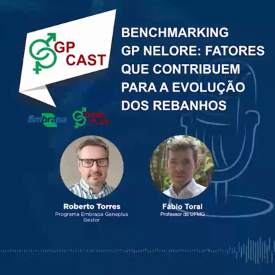 04. BENCHMARKING GP Nelore - Fatores que contribuem para Evolução dos Rebanhos  episode artwork
