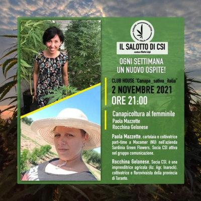 Canapa Sativa Italia CSI - Il Salotto Della Canapa