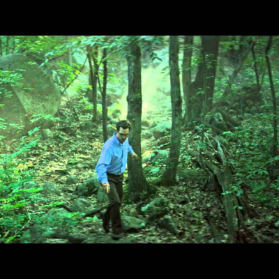 The Sea of Trees (El mar de árboles)
