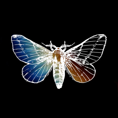 To Be Gay and Online, feat. Moth