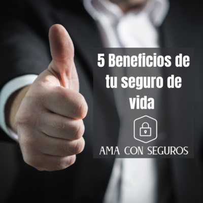 Ama con seguros
