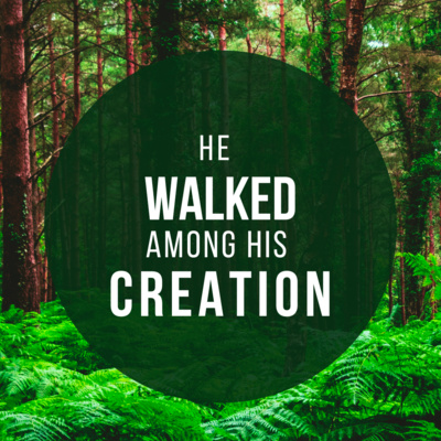 He walked among His creation-Why episode artwork