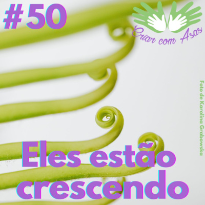 Criar com Asas
