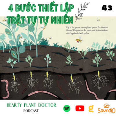 #43_*4 bước thiết lập lại trật tự tự nhiên nền NN hữu cơ.