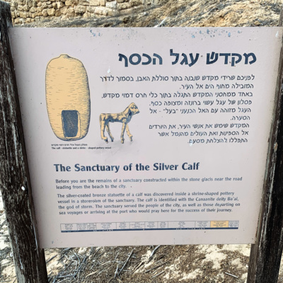 The "Golden" Calf
