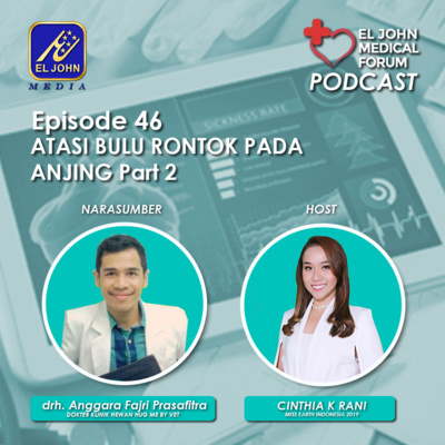 Ep 46 Atasi Bulu Rontok Pada Anjing Part 2