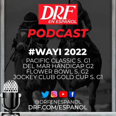 DRF en Español Podcast