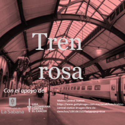 Tren rosa